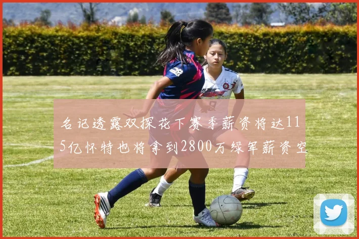 名记透露双探花下赛季薪资将达115亿怀特也将拿到2800万绿军薪资空间依旧紧张