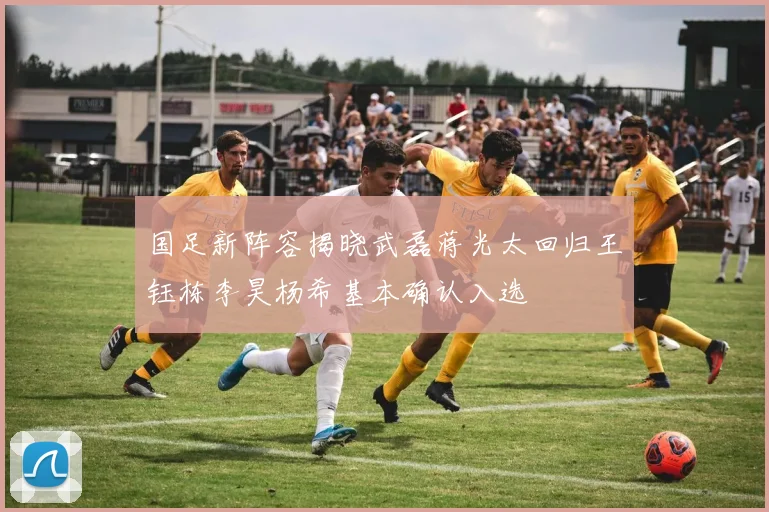 国足新阵容揭晓武磊蒋光太回归王钰栋李昊杨希基本确认入选